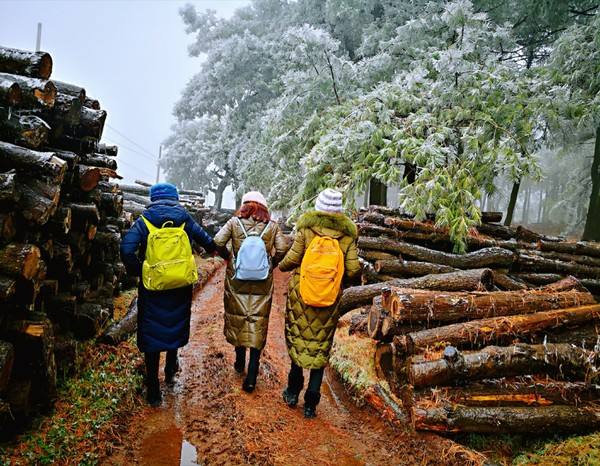 健康地板 健康地板