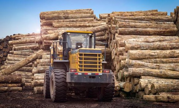 健康地板 健康地板