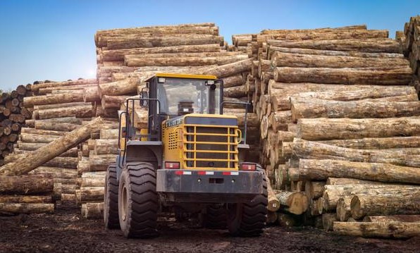 木制地板 木制地板