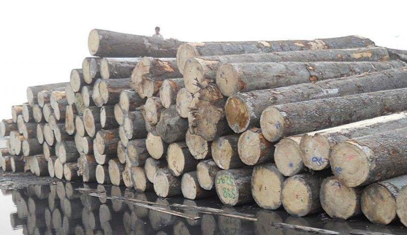 實木地板廠家 實木地板廠家