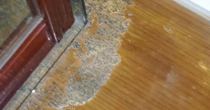 木地板發霉 木地板發霉